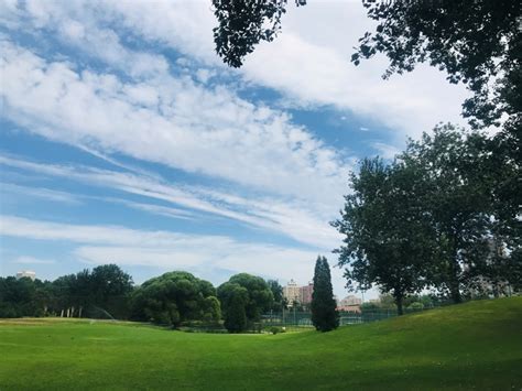 東風公園怎樣探索自然之美好與城市的共融之境地？