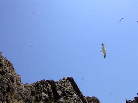 榮成如何到海驢島：多元視角下的旅行攻略